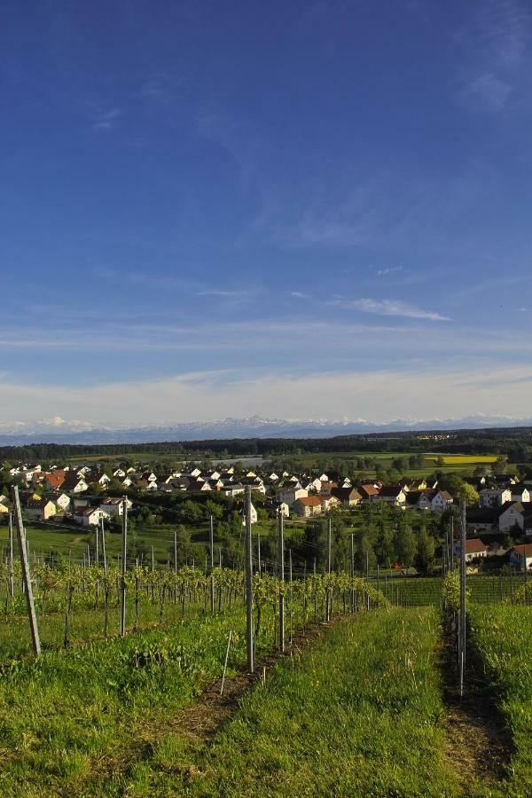 Fewo Schillerstrasse Markdorf Buitenkant foto